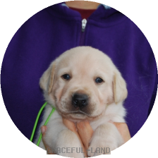 男の子(黄緑 母マリー)